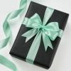 100 Yards 1 Inch Baby Pink Satin Ribbon, Solid Fabric Ribbon Roll for Flower Bouquet, Gift Wrapping, Roses Making, Handmade Crafts(Mint Green)