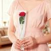 Jutieuo 100Pcs Single Rose Sleeve with 100Pcs Floral Water Tubes for Fresh Flowers, Transparent Single Flower Sleeve Individual Rose Wrap Bulk for Mother’s Day Events, Florist Supplies(White Gold Line 100 bags)