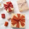 9 Colors Chiffon Ribbon 1” x 27 Yds Handmade Fringe Chiffon Silk Ribbon for Gift Wrapping Wedding Invitations Bridal Bouquets Crafts Home Decor(Rust Red/Khaki/Terracotta)